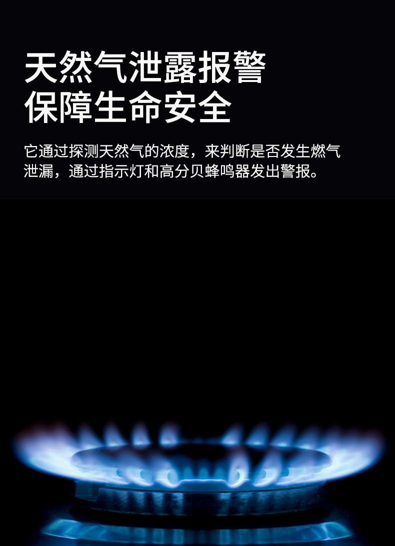 燃?xì)庑孤﹫?bào)警器詳情頁設(shè)計(jì)--WF版本_02.jpg